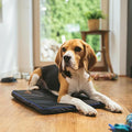 Premium PEMF Therapy Pad for Pets - Natural Pain Relief, Recovery & Stress Support - Vet-Approved - Safe, Drug-Free Wellness for Pets (Large (27.5 x 17...
