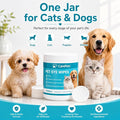 CarePets Eye Wipes Textured for Tear Stains, 100 Count Pet Tear Stain Remover Pads for Dogs and Cats, Gentle Eye Cleaning Wipes with Aloe Vera &...