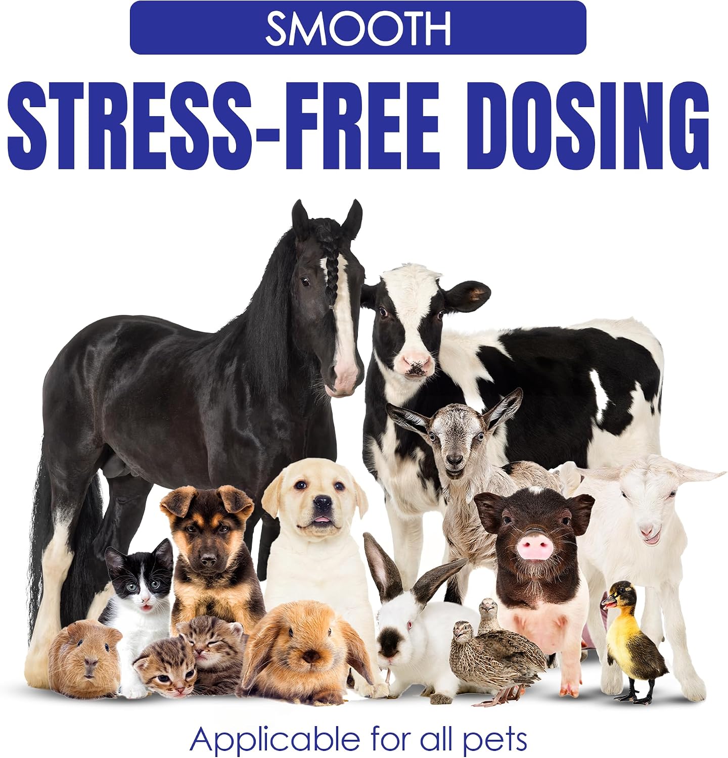 HOLISTIC PET CARE Colloidal Silver for Dogs, Cats & Pet- 20 PPM (1Gal) | Wound Care, Hot Spot Treatment, Skin Relief & Immune Support – All-Natural...